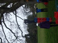 In the Trees photo
