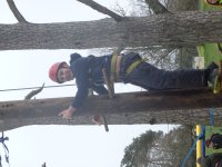 In the Trees photo