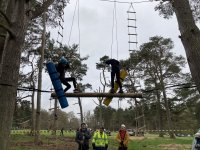 In the Trees photo