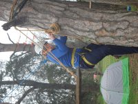 In the Trees photo