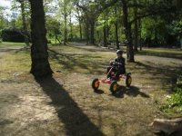 Pedal Cars photo
