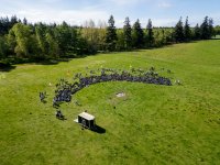 Camp Closure photo