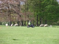 Quad Bikes photo