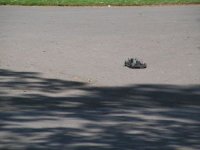 Remote Control photo
