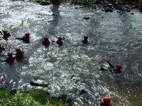 River Rescue photo