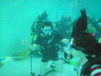 Scuba Diving photo