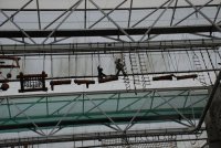 Sky Walk photo