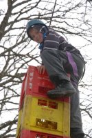 Crate Climbing photo
