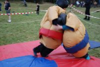 Sumo & Boxing photo