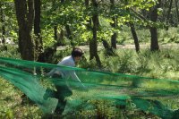 Assault Course photo